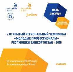 V Открытый  региональный чемпионат «Молодые профессионалы» (WorldSkills Russia) Республики Башкортостан - 2019