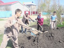 Волонтерская работа студентов ТИТ