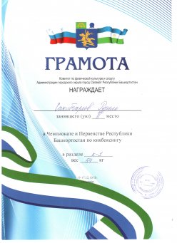 Кикбоксинг
