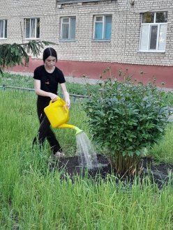 День эколога в России