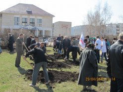 Аллея ветеранов