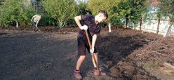 Волонтерская деятельность