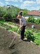 Помощь старшему поколению