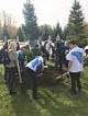 Всероссийская акция "Лес Победы"