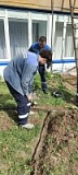 Шаг за шагом к мастерству!