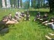 Под девизом: «Жить здорОво – здОрово!»